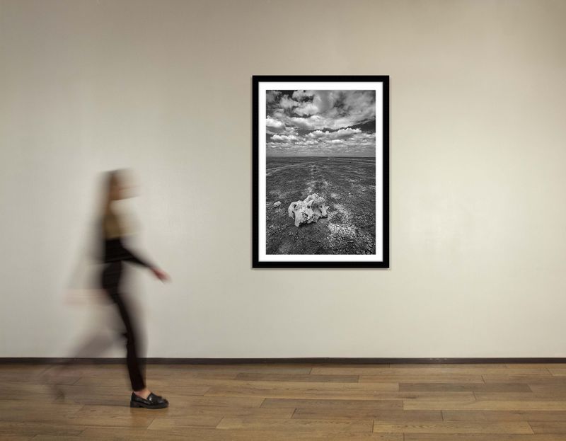 48 x 36 in., edition of 15